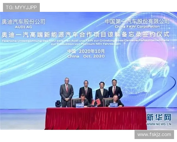 如何购买德甲球队股份及投资流程介绍